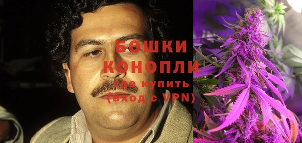 стафф Михайловск