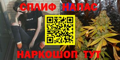 сатива Гагарин